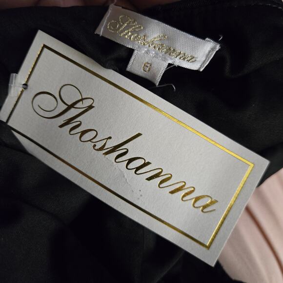 NWT Shoshanna Modern Chic Glam Feminine Silk Velvet Asymmetrical Sheer Dress 6 - Picture 7 of 11